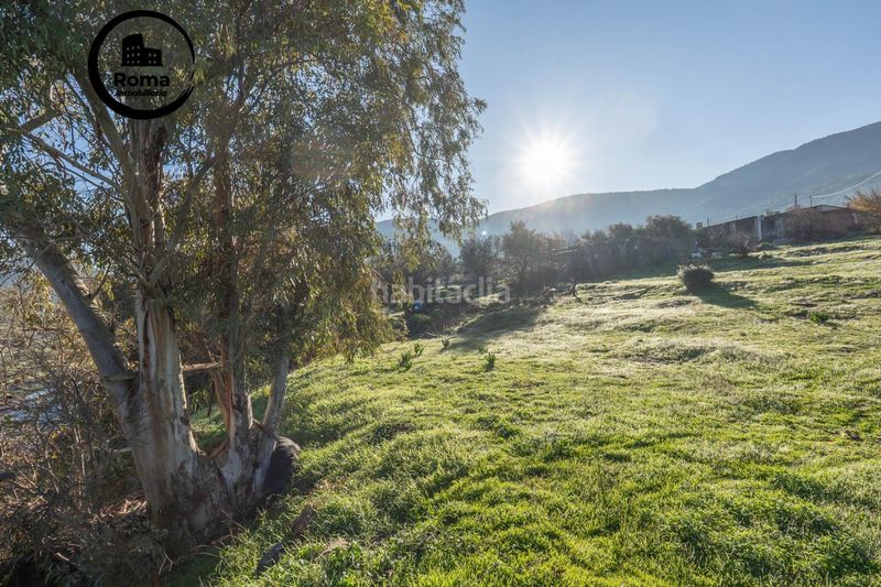 Foto bf8f413b-1904-4fbf-9a67-33d1d37decc6. Finca rústica a Órgiva