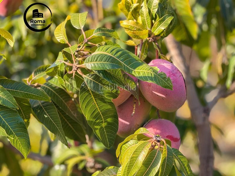 Foto a8b74807-ee9a-4e05-b746-d6bb5cc24d71. Masia amb aparcament a Guájares (Los)
