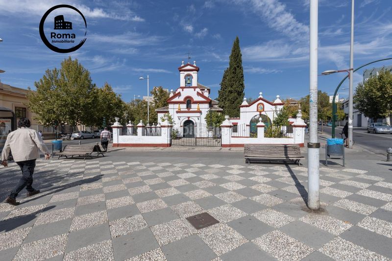 Foto 4be70686-4380-4258-b1c5-c9b67fedc383. Pis a San Ildefonso Granada