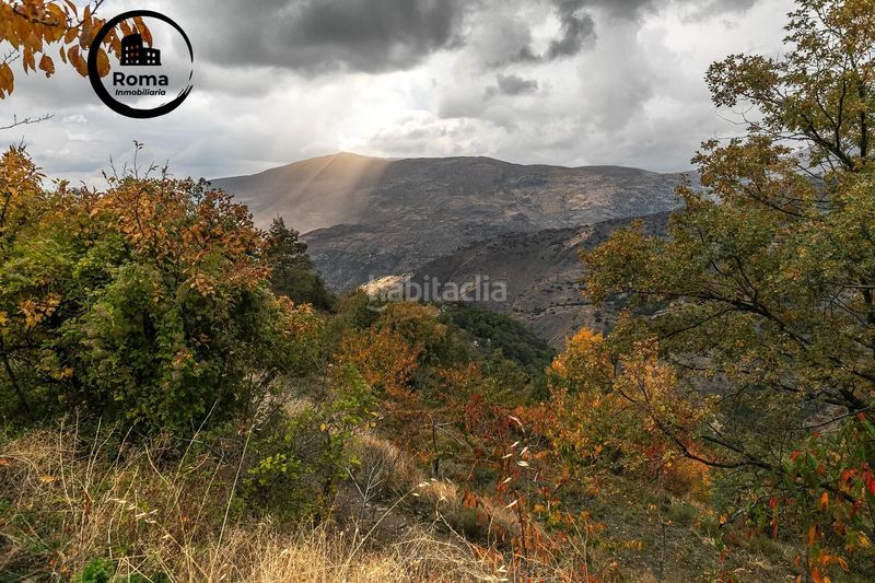 Foto 02dd13c1-9951-4b6f-b9a4-6e06fa6ca912. Finca rústica a Güéjar Sierra