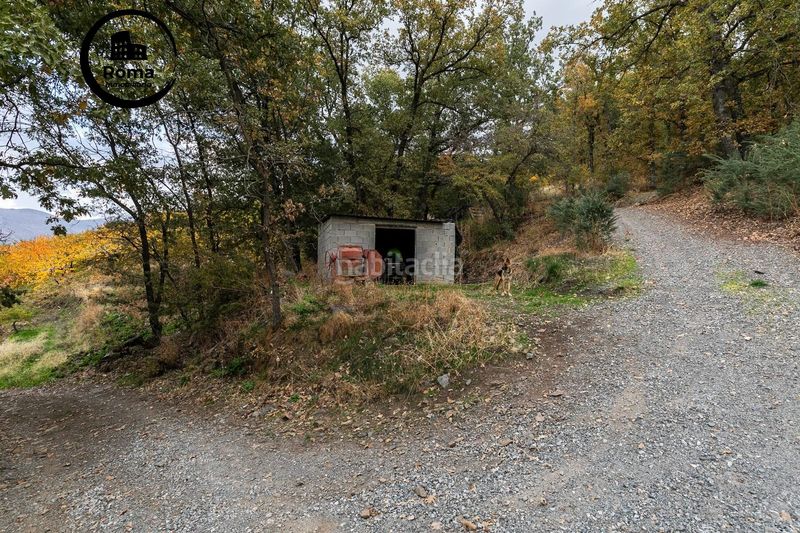 Foto 4ff3a9e1-5c79-41c9-8744-eff101832cfd. Finca rústica a Güéjar Sierra