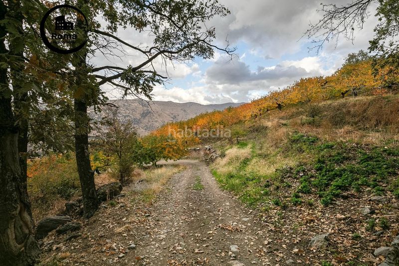 Foto 7350be26-cc14-4d04-844b-c0b573594223. Finca rústica a Güéjar Sierra