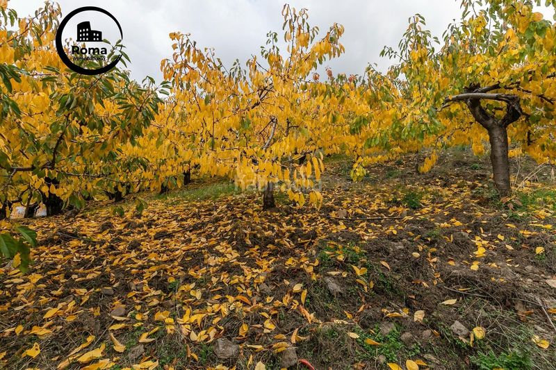 Foto 81792693-505b-4d31-a5d6-633e89624458. Finca rústica a Güéjar Sierra