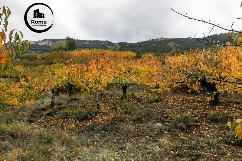 Foto 90e7ce19-9b35-4ace-b6f6-76994073e24c. Finca rústica a Güéjar Sierra