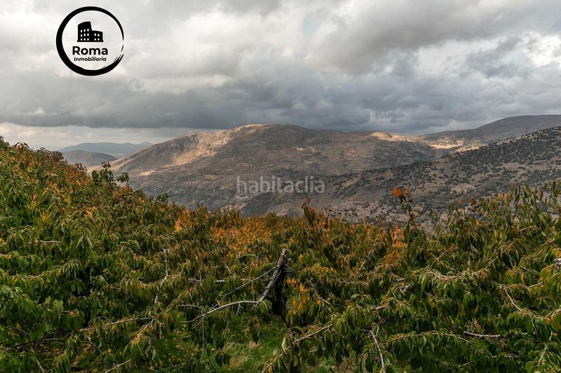 Foto 99a62cbb-fcb9-4fd6-bb4d-d64a32afd4bb. Finca rústica a Güéjar Sierra