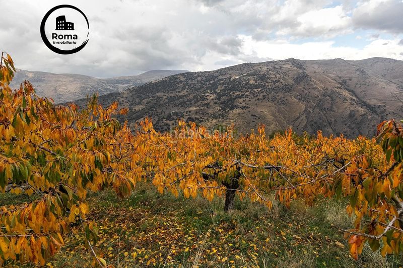 Foto b30b9df4-4f7e-47ea-a419-da1b9271a491. Finca rústica a Güéjar Sierra