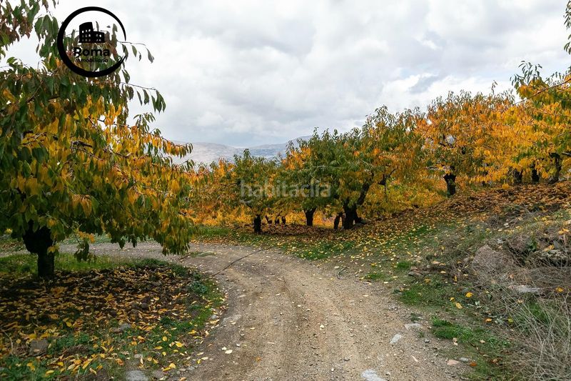 Foto cfaa4524-7c1d-45b1-acba-52dcb8b65531. Finca rústica a Güéjar Sierra
