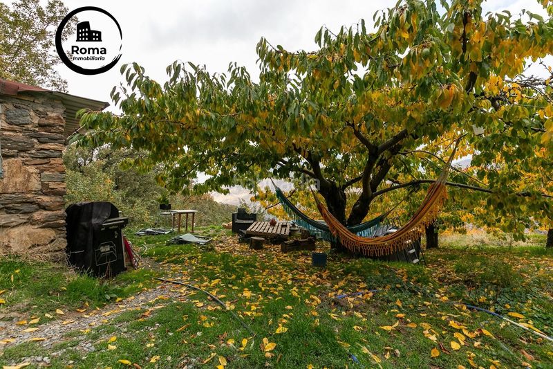 Foto db0b930e-b4ca-40ff-86fe-7b6808cede42. Finca rústica a Güéjar Sierra