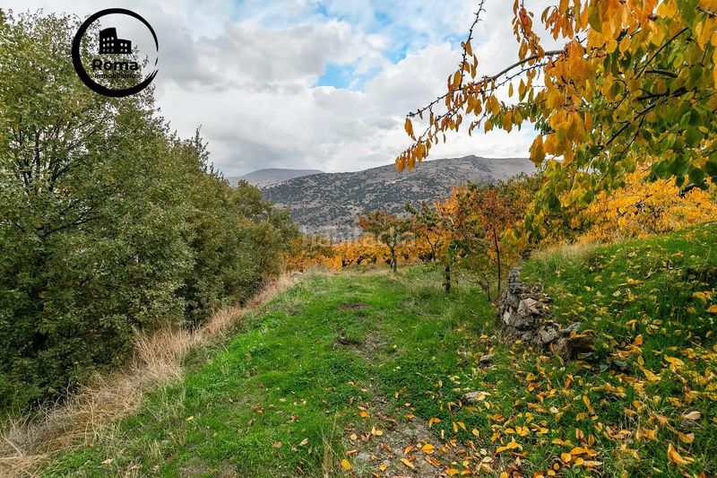 Foto edc91442-64fa-484d-a5e8-34e2090fd8e8. Finca rústica a Güéjar Sierra
