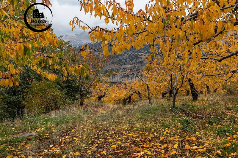 Foto f7860836-0180-4b92-95a1-cc314b75d789. Finca rústica a Güéjar Sierra