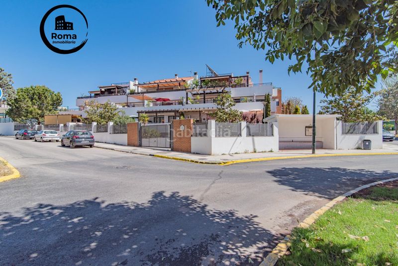 Foto 6fe1703b-43a9-495d-895a-43cd84c9fd51. Pis amb piscina a Albolote