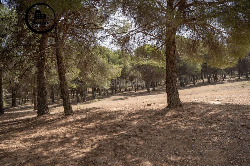 Foto c7782508-b59e-4377-962e-8fe87ec49a91. Casa amb calefacció aparcament piscina a Cumbres Verdes Zubia (La)