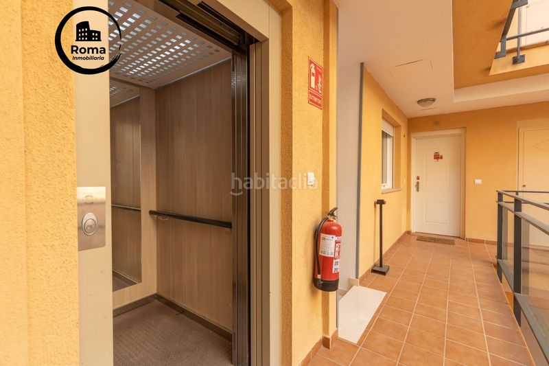 Foto e82d93c7-d7a3-4d81-a911-6f2c26bcbf88. Pis a Láchar