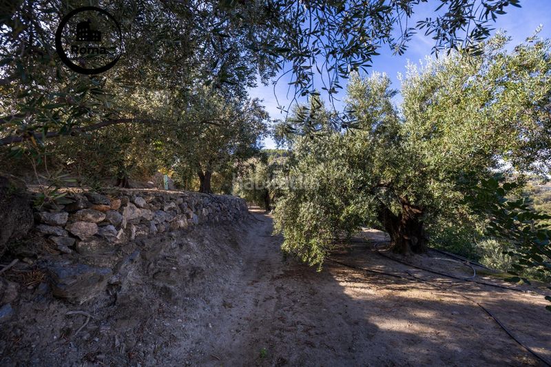 Foto 19c8b036-e1c5-4953-ba2e-be9099f7f949. Finca rústica a Lecrín