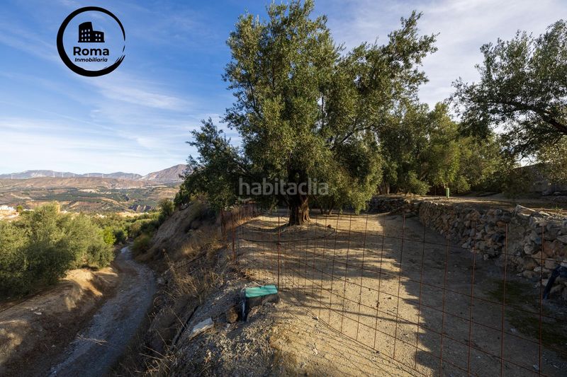 Foto 1d131f54-9364-4681-82a6-1467a87964ef. Finca rústica a Lecrín