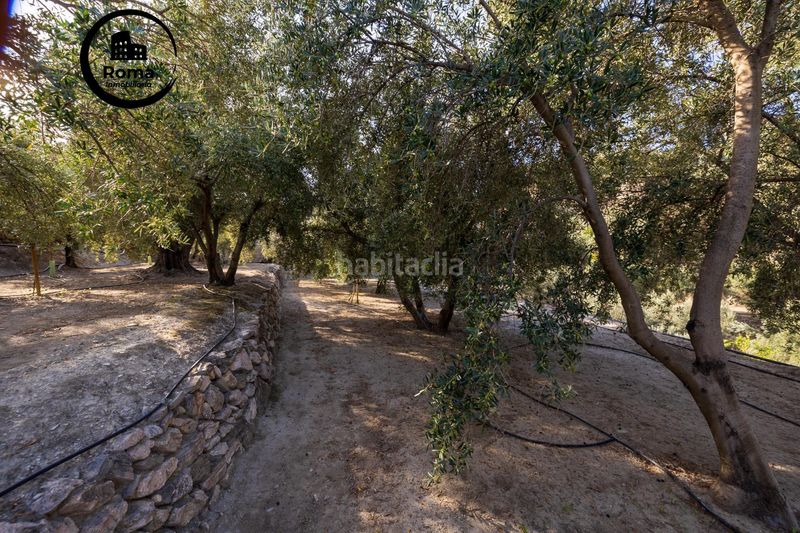 Foto 49a2b986-6335-4b74-a8e7-469aa37a8e30. Finca rústica a Lecrín