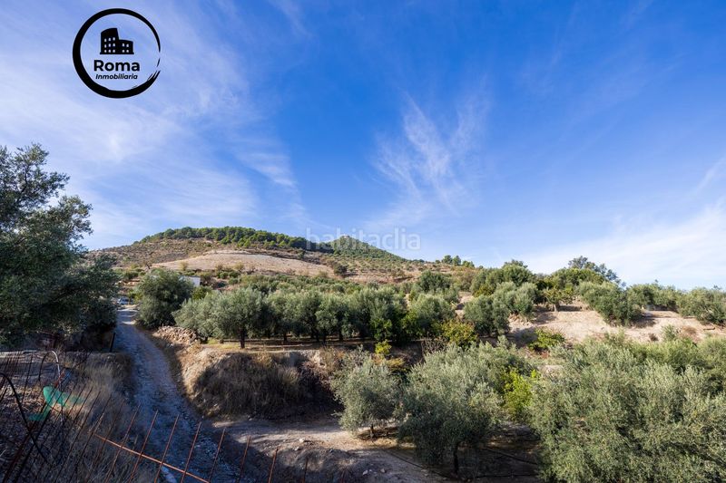Foto a384bdd8-04eb-4941-8cdc-5a706970a401. Finca rústica a Lecrín