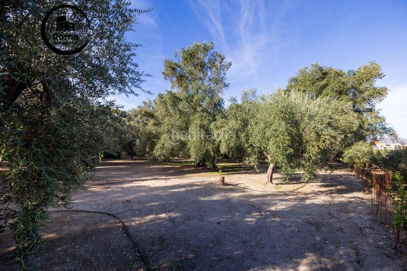 Foto a69ca481-c5b8-47c4-b32b-480f50ae8f38. Finca rústica a Lecrín