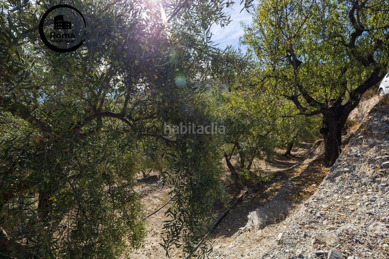 Foto b5006086-fb79-4d43-90d7-2c1002ed16be. Finca rústica a Lecrín