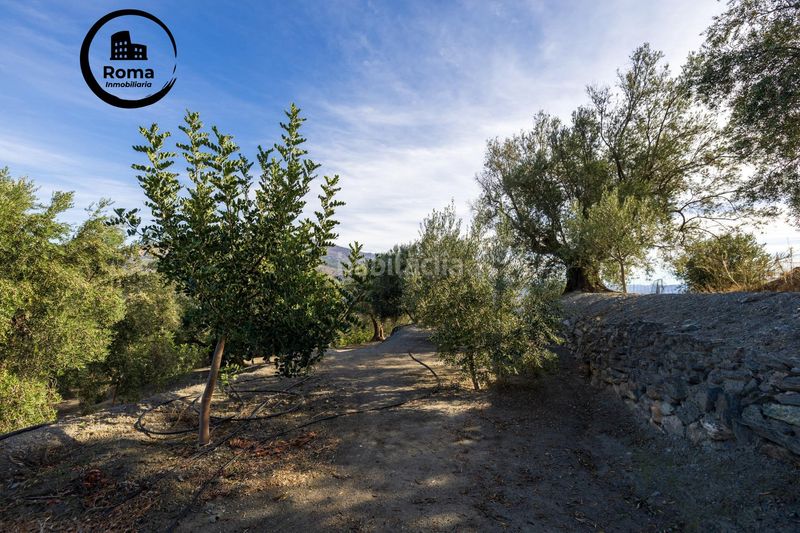 Foto bc27b6c1-9aa8-462b-b82f-47a1d1ce347a. Finca rústica a Lecrín