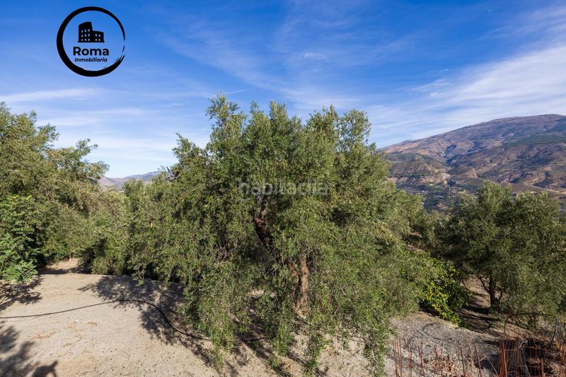 Foto c7b06e13-ea5d-499b-976b-8688bf7d8c2d. Finca rústica a Lecrín