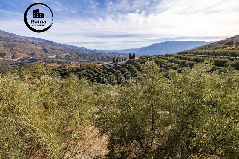 Foto ce6460f3-43fa-47d9-97d6-c15d0c6fe07f. Finca rústica a Lecrín