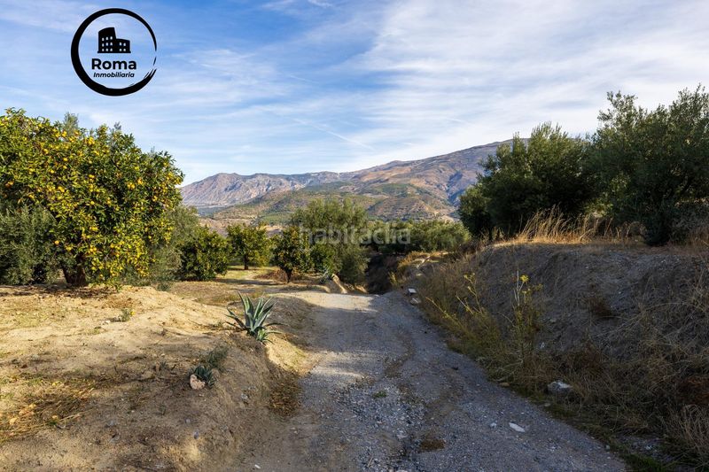 Foto e3ad365e-f56d-4ace-85bd-02aa9ca3c99e. Finca rústica a Lecrín