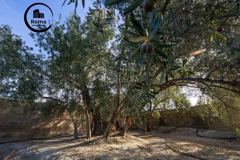 Foto eab80851-cc6a-45d5-aed9-932c800a037a. Finca rústica a Lecrín