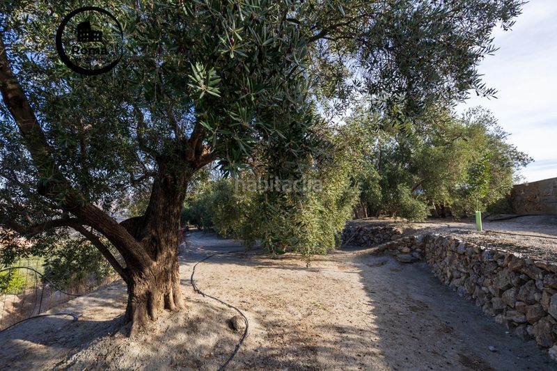 Foto eeea5ac4-a083-4945-83a4-882ca2d84edb. Finca rústica a Lecrín