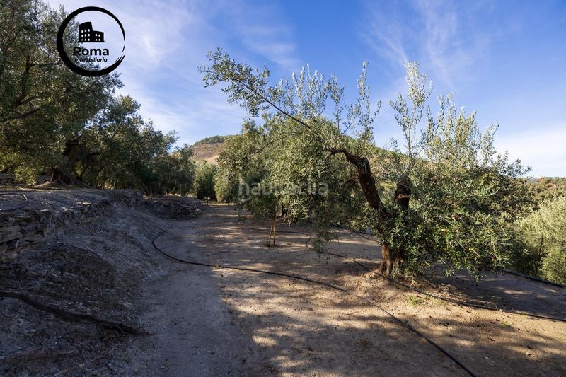 Foto f1a2b472-7f9c-4715-aee9-a86577f6552d. Finca rústica a Lecrín