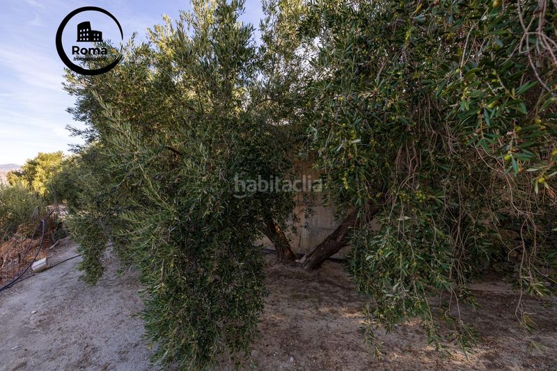 Foto f1c3baaf-9cda-4561-b2c5-7dd77f31fdf9. Finca rústica a Lecrín