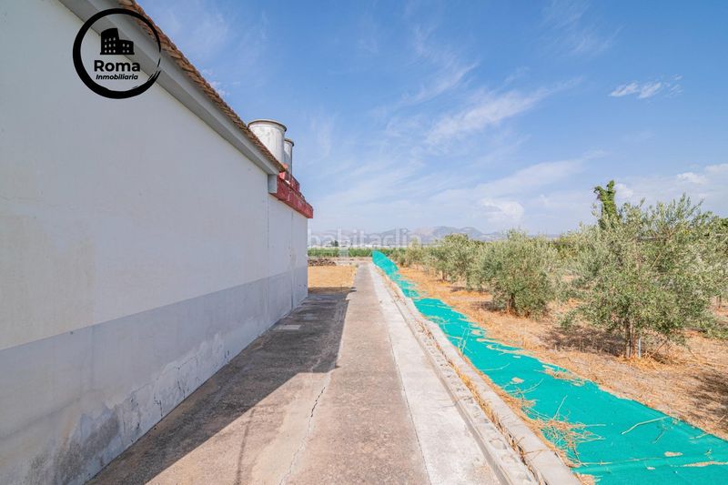 Foto 7b9371fb-d87d-4d71-96b7-e7935be71bf4. Casa amb xemeneia a Angustias - Chana - Encina Granada