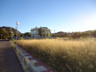 Residential Plot in Vilanova d´Escornalbou. Parcela de 740 m2 con orientación sur y vistas hacia cambrils.