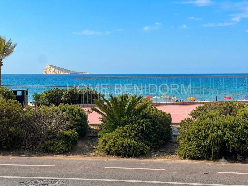 Foto 6440d690-16e6-4d62-b7c6-5396dd32239c. Local comercial a Playa Poniente Benidorm