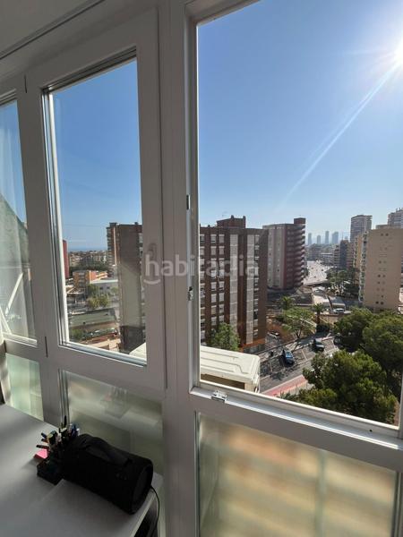 Foto 2e819945-aaff-491f-ae19-74b9377c968a. Studio in Juzgados - Plaza de Toros Benidorm