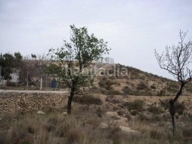 Foto 7a63e84f-dceb-40dc-8ab0-922084b6e9e2. Finca rústica a Villamontes-Boqueres Sant Vicent del Raspeig