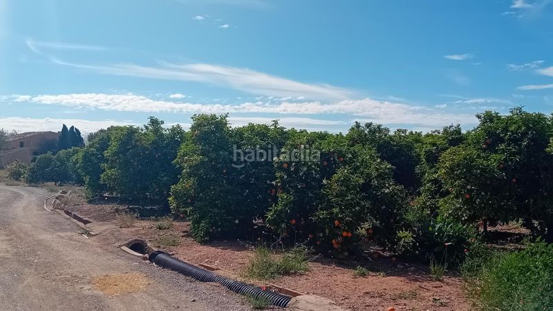 Foto 7b91c77d-cb56-43e7-a721-2c009af18a2e. Finca rústica a Villamontes-Boqueres Sant Vicent del Raspeig