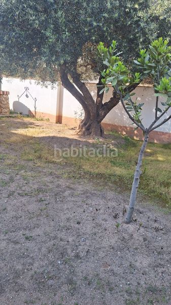 Foto 4fb6e876-7f72-4be1-969d-e65bd1488c69. Xalet amb calefacció aparcament a Babilonia Torredembarra
