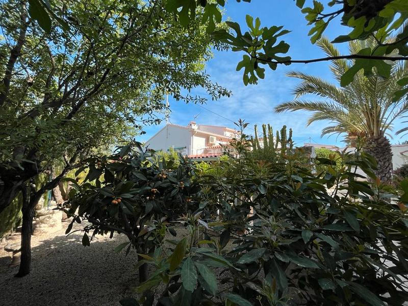 Foto aa3ea4e9-0c4b-4adb-853f-001529d076b7. Chalet in carrer els lleons 11 in L´Albir Alfàs del Pi (l´)