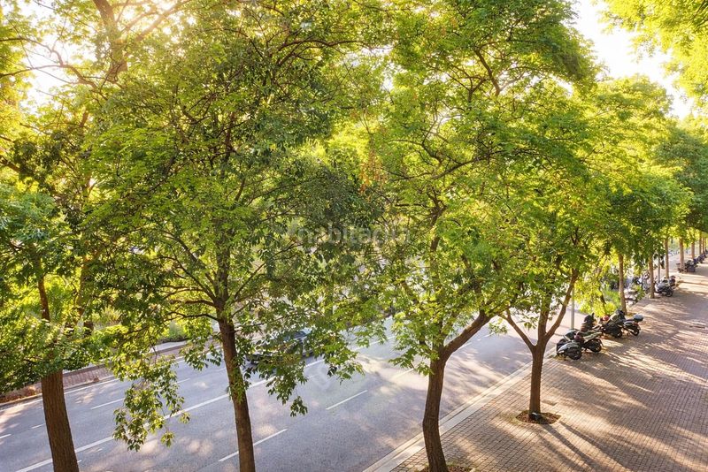 Foto 656431b4-7ff8-4476-9c19-3cec8aa84daa. Pis amb calefacció a Tres Torres Barcelona