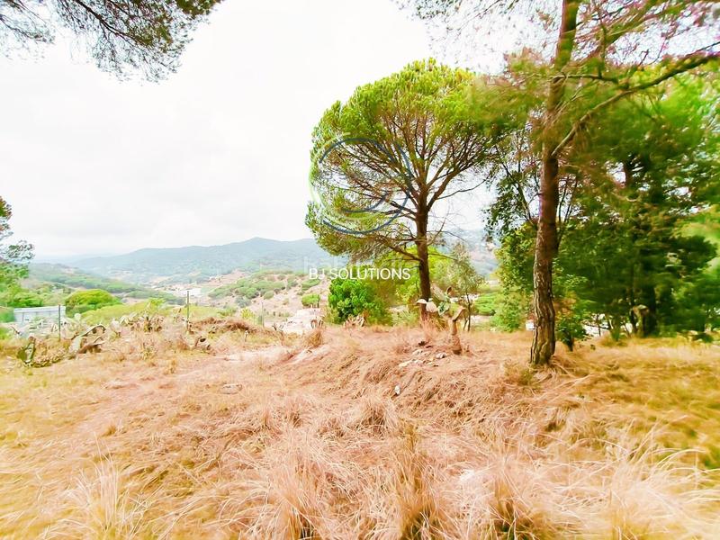 Foto 88061029-4b46-4c89-8d4d-440e31ec0249. Masía fincas rústicas en Calella