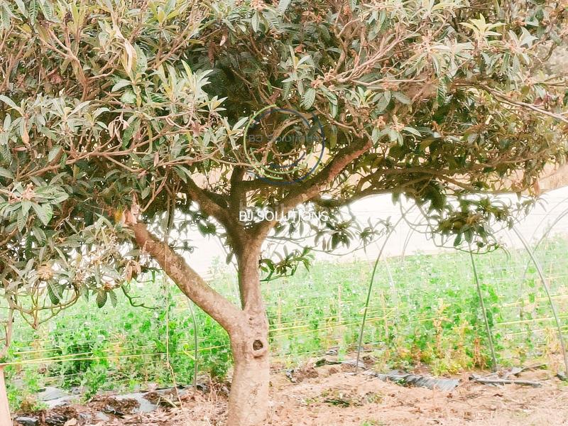 Foto 960b2361-9fba-4a89-bb6c-86f682427921. Masía fincas rústicas en Calella