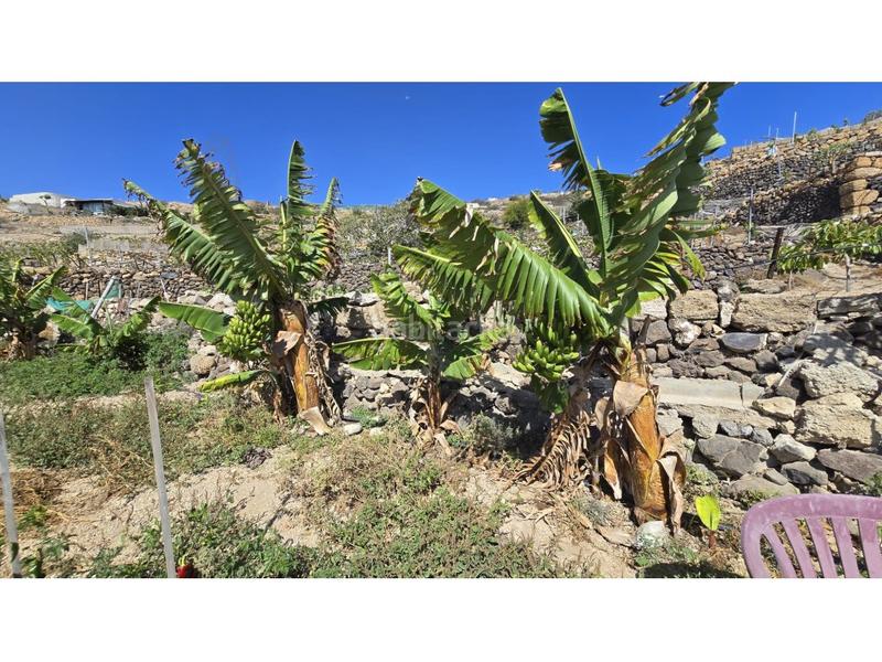 Foto 1378b23b-e569-4fbf-88bb-aea5c87e6101. Country house with parking in Fasnia