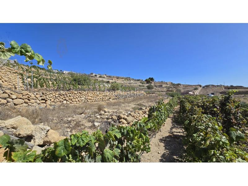 Foto 1df3ab13-e529-48ae-bda4-ed8e52abb07d. Country house with parking in Fasnia