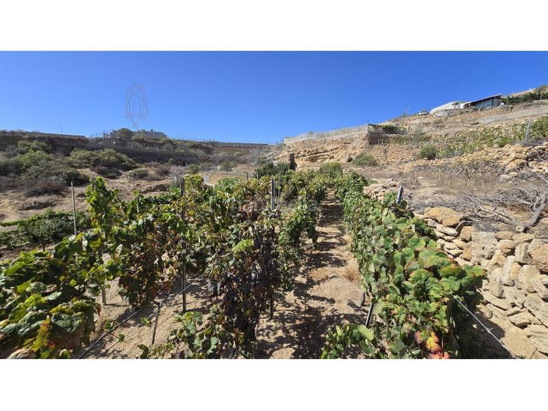 Foto 27372faa-6eb6-430c-9125-00e69b96287c. Country house with parking in Fasnia