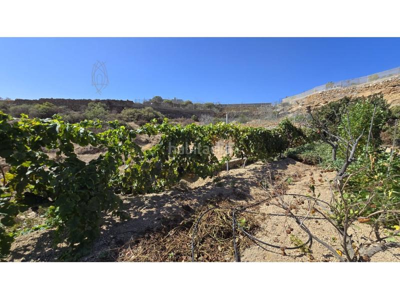 Foto 2b5a5430-6858-4fb2-8f80-29e5d0337dc8. Country house with parking in Fasnia