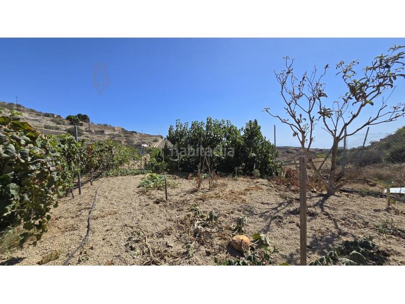 Foto 2fbbba68-1ec6-498c-bc8a-bbec8940e0ed. Country house with parking in Fasnia