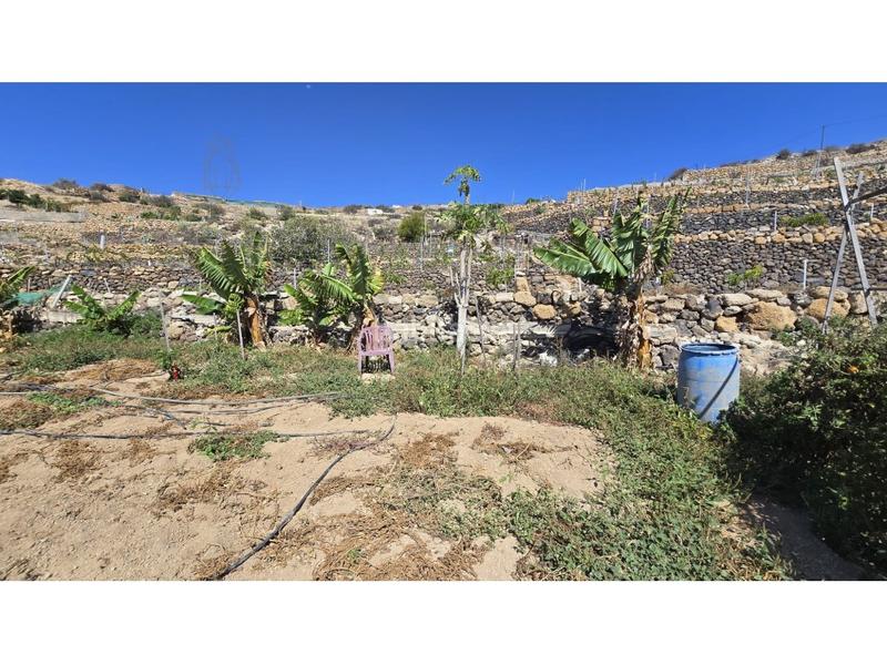 Foto 56591b90-8475-4e2d-b302-fe9d47d6da13. Country house with parking in Fasnia