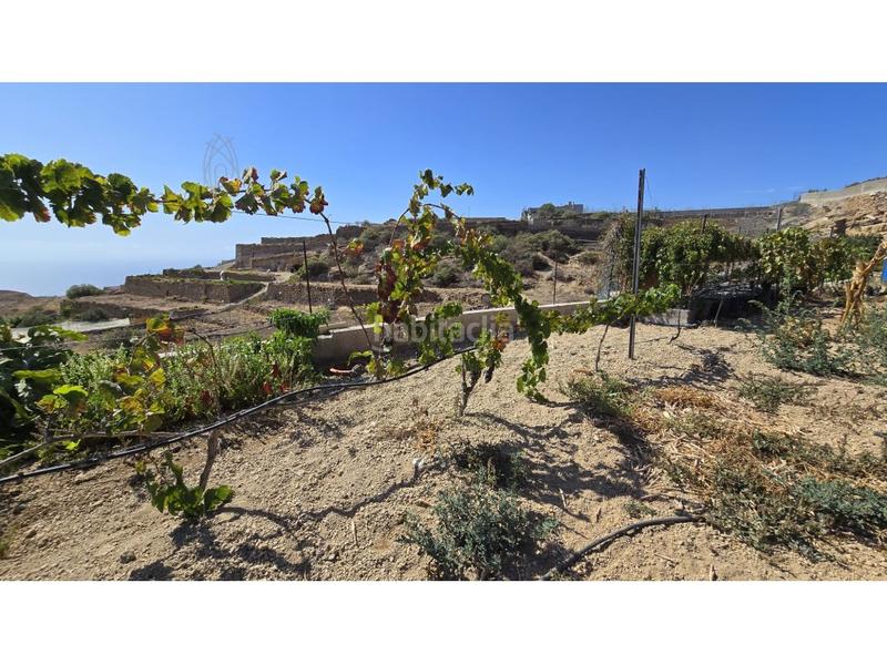 Foto 685be049-90f7-4ff9-a746-2cb5f2b7eed3. Country house with parking in Fasnia