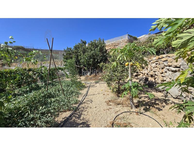 Foto 88e15280-7aa2-4ce1-8cf2-65aba04f5caa. Country house with parking in Fasnia